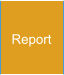 Report