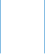 Vorstand