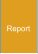 Report